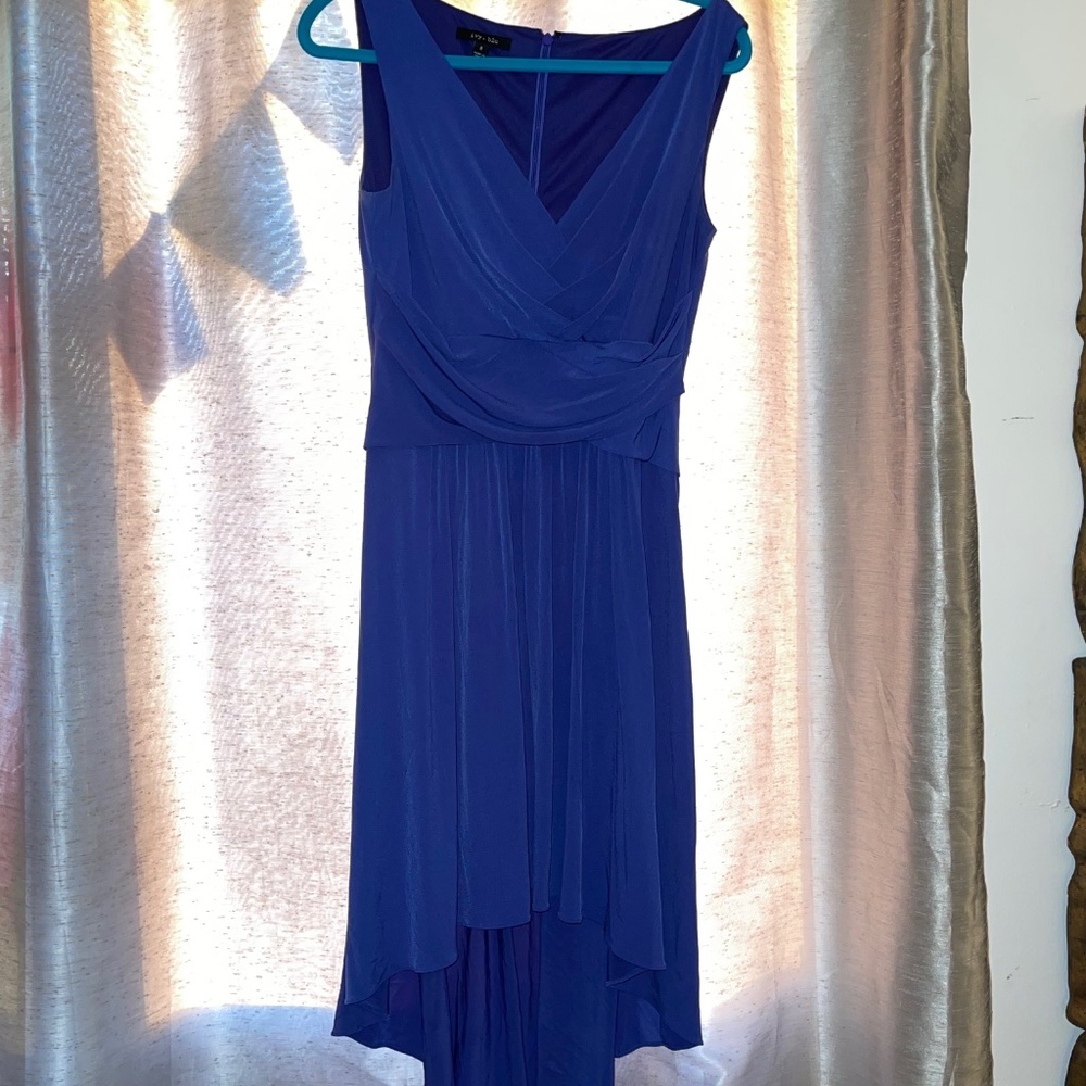 Ivy + Blu A-Line Dress [Size 8]